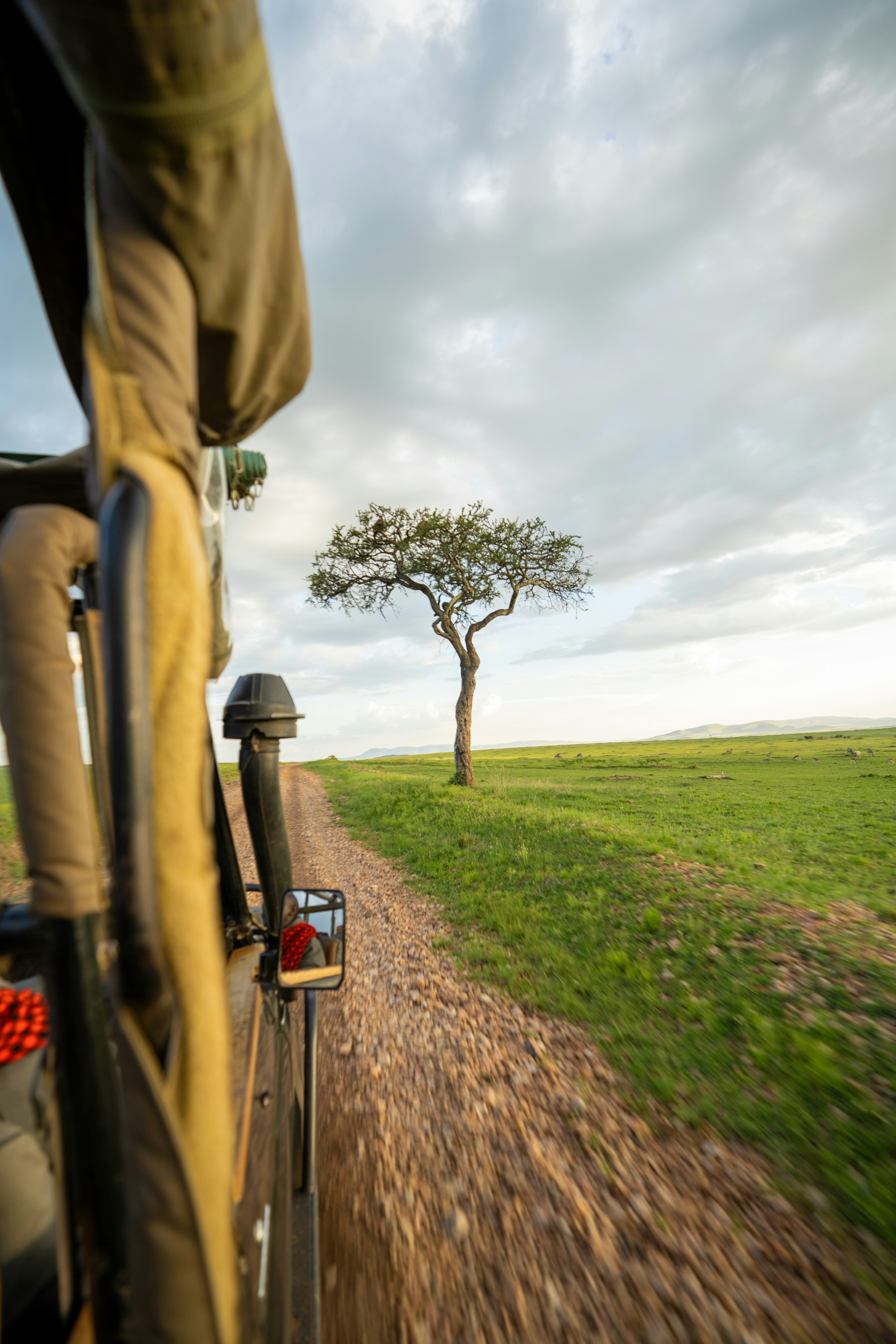 Maasai Mara National Reserve Kenya with elephants and savanna