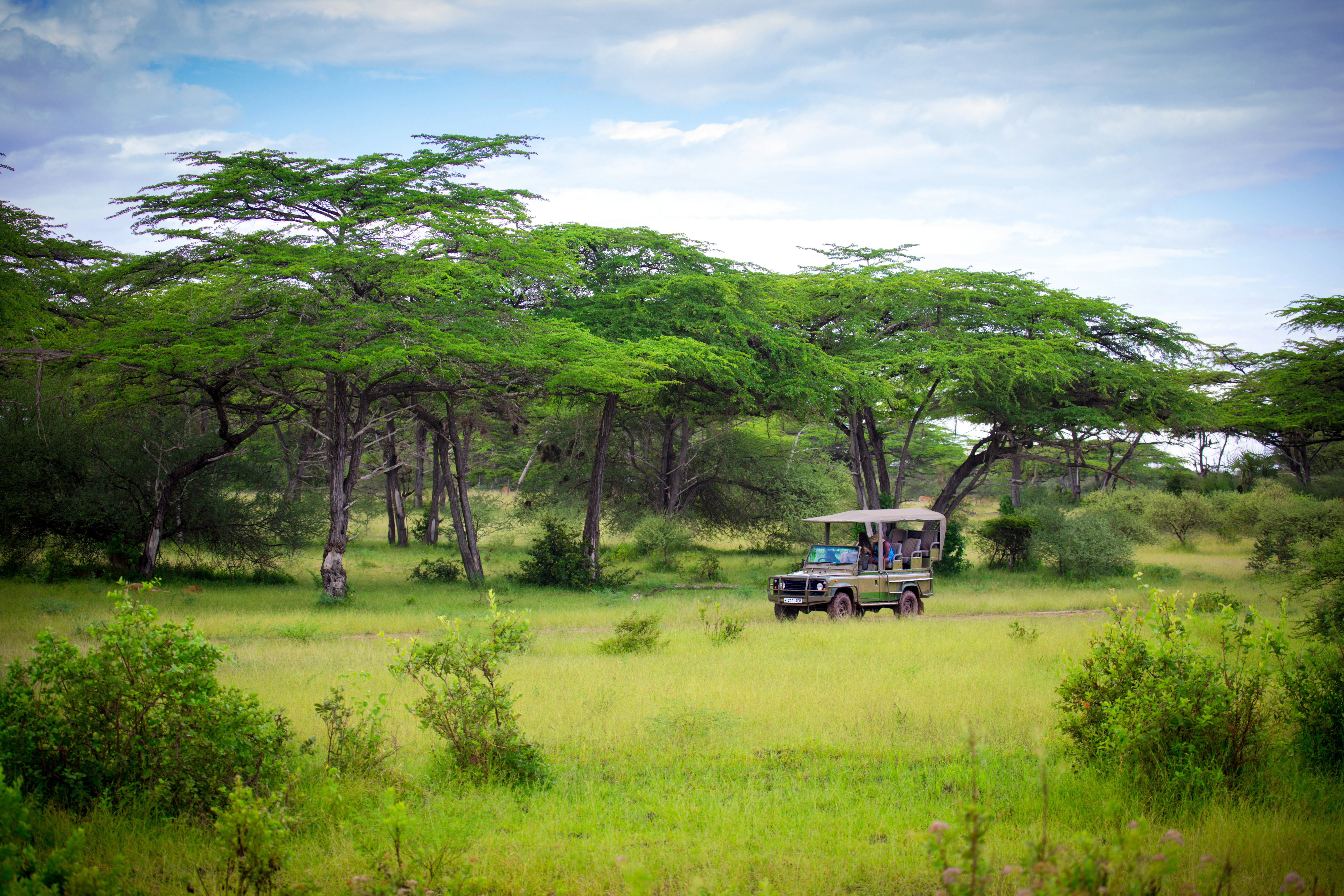 Kenya Classic Circuit safari including Amboseli and Nakuru