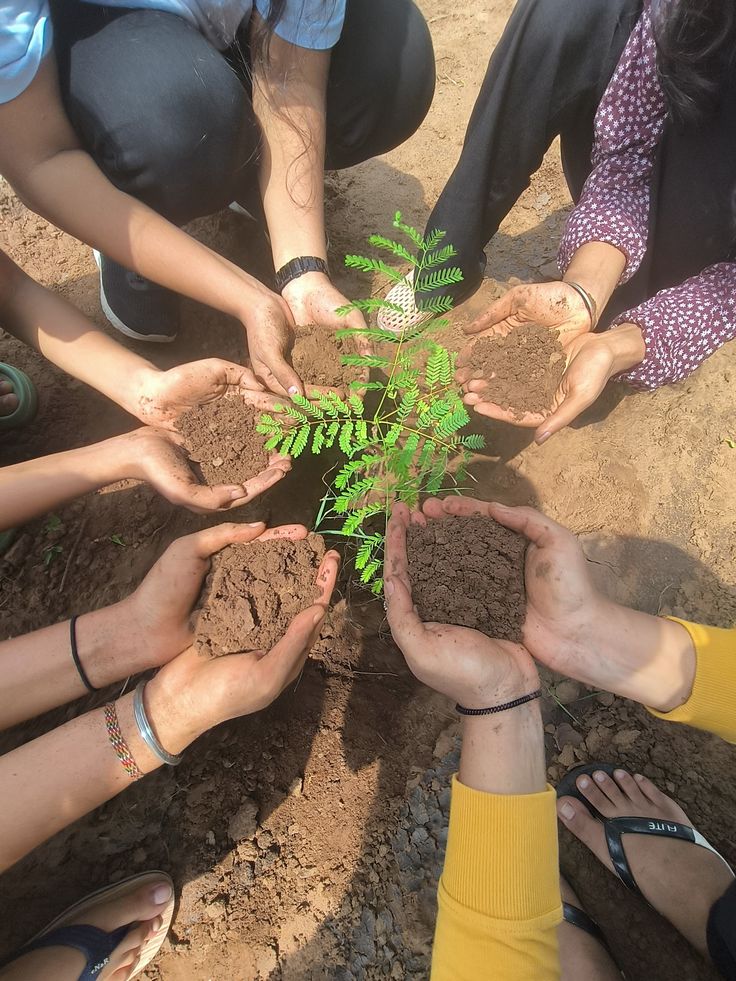 Plastic-free campaign